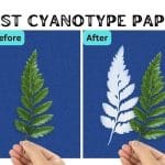 Best Cyanotype Paper Kit for Your Artistic Needs