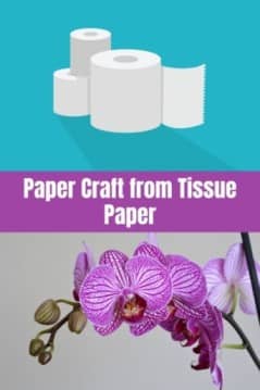 The Value Of White Tissue Paper