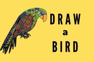 Draw a bird, printable for kids, easy bird drawing, download pdf, home studies, bird drawing,