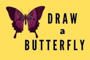 Learn how to draw a butterfly, printable for kids,