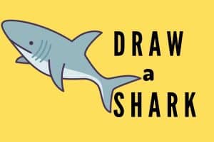 Learn how to draw a shark for kids and take easy free printables,