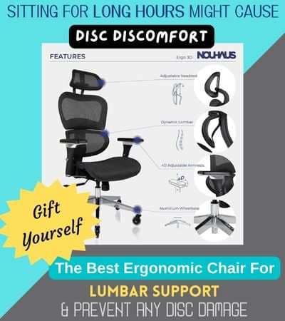 Best Ergonomic Chair For Lumbar Support & Prevent any Disc Damage