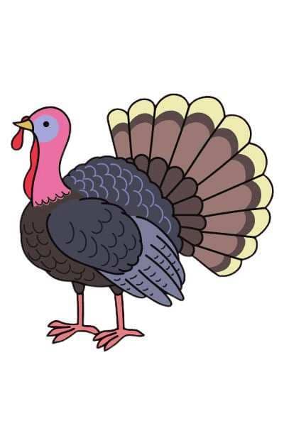 learn to draw a turkey, free printable for kids, 