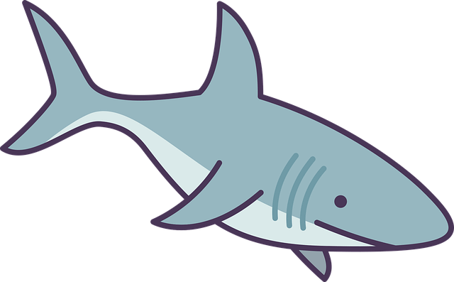 Learn to draw a shark, easy shark drawing for kids,