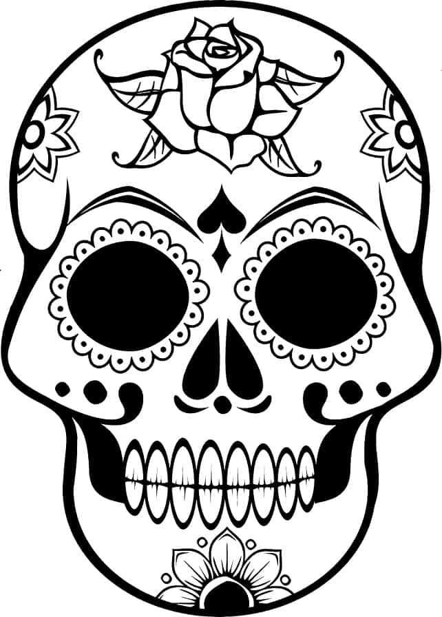 Draw a skull, printable for kids, easy wolf drawing, download pdf, home studies, skull drawing, skull drawing for kids,