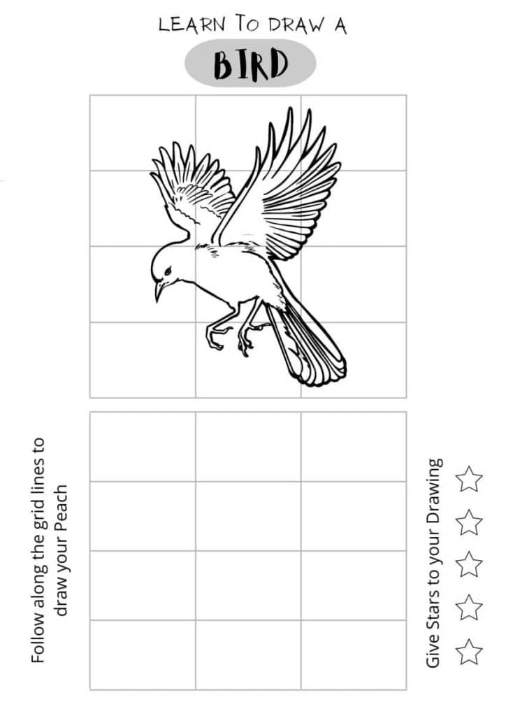 Draw a bird, printable for kids, easy wolf drawing, download pdf, home studies, skull drawing,