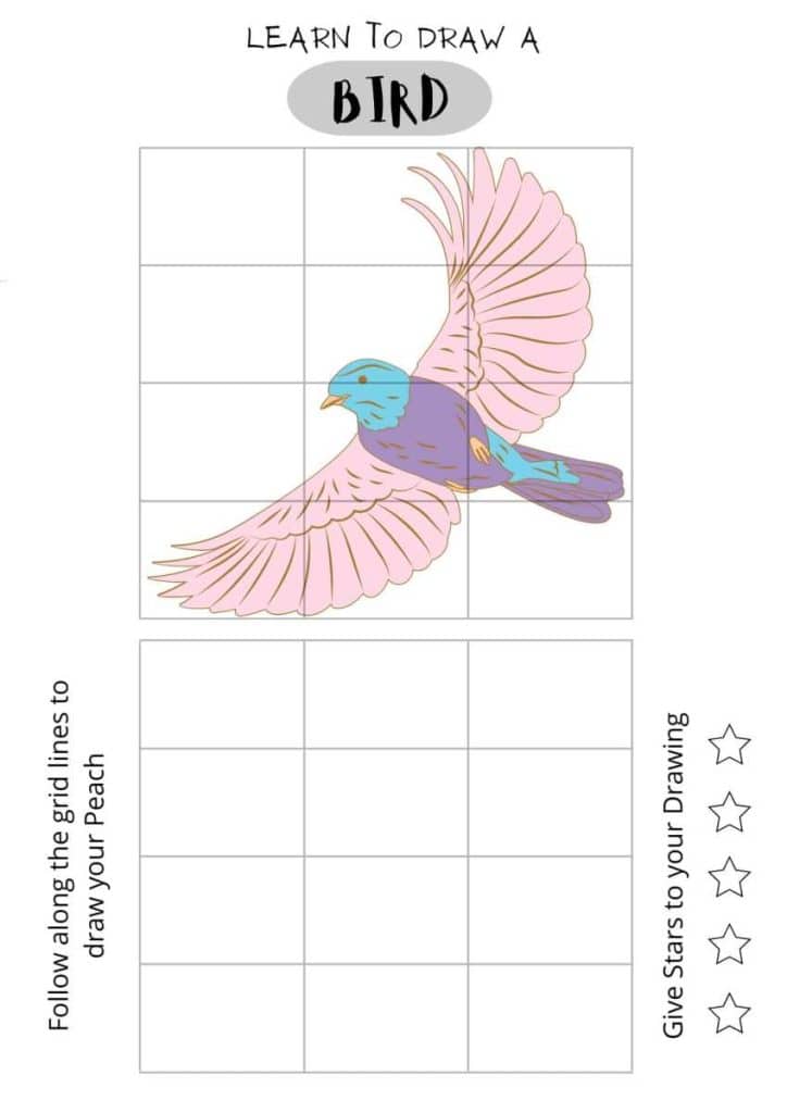 Draw a bird, printable for kids, easy bird drawing, download pdf, home studies, bird drawing,