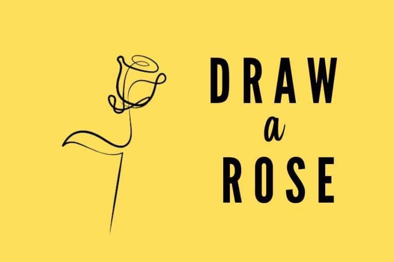 How to Draw a Rose – Easy Coloring Pages