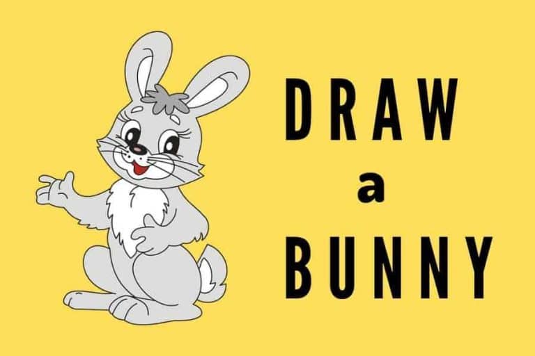 How to Draw a Bunny & Some Interesting Facts