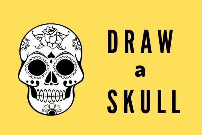 How to Draw a Skull & Some Interesting Facts [3 Free Printables]