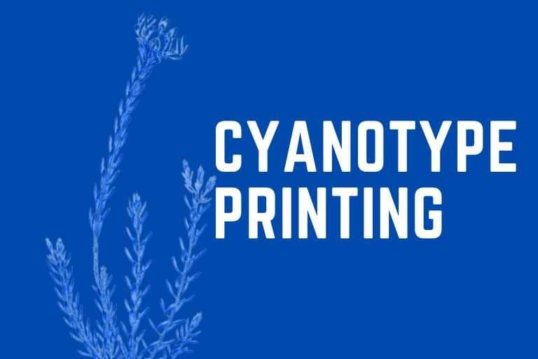 Flower Cyanotypes: Discover the Magic of Cyanotype Printing for Kids and Adults Alike