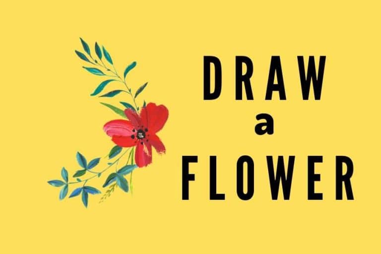 How to Draw a Flower & Some Interesting Facts