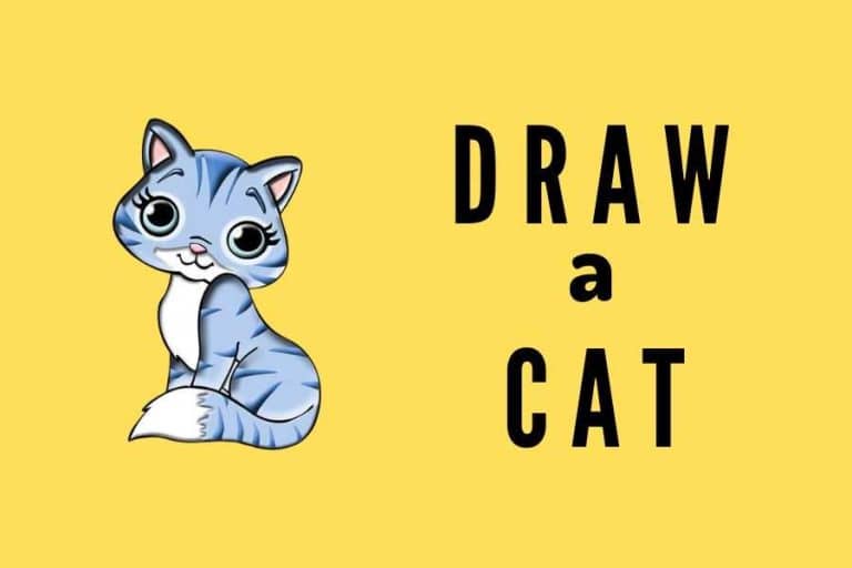 How to Draw a Cat – Easy Coloring Pages