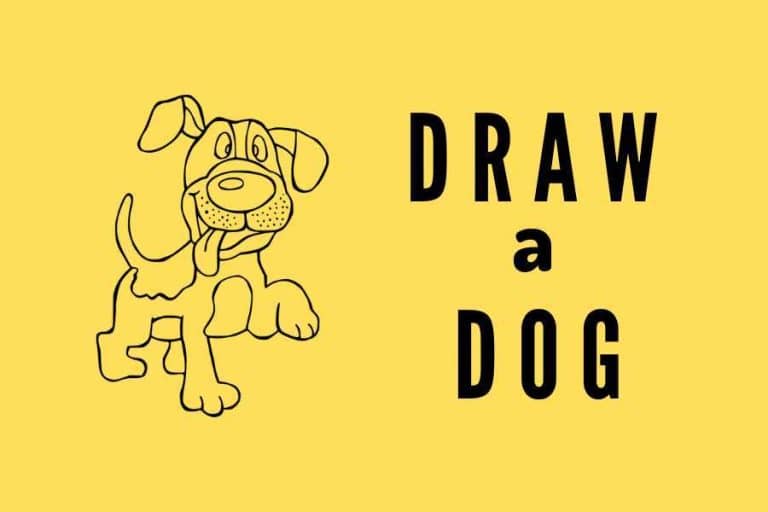 How to Draw a Dog – Easy Coloring Pages