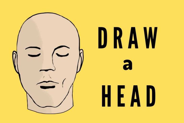 How to Draw a Head & Fascinating Facts on Heads [3 Free Printables]