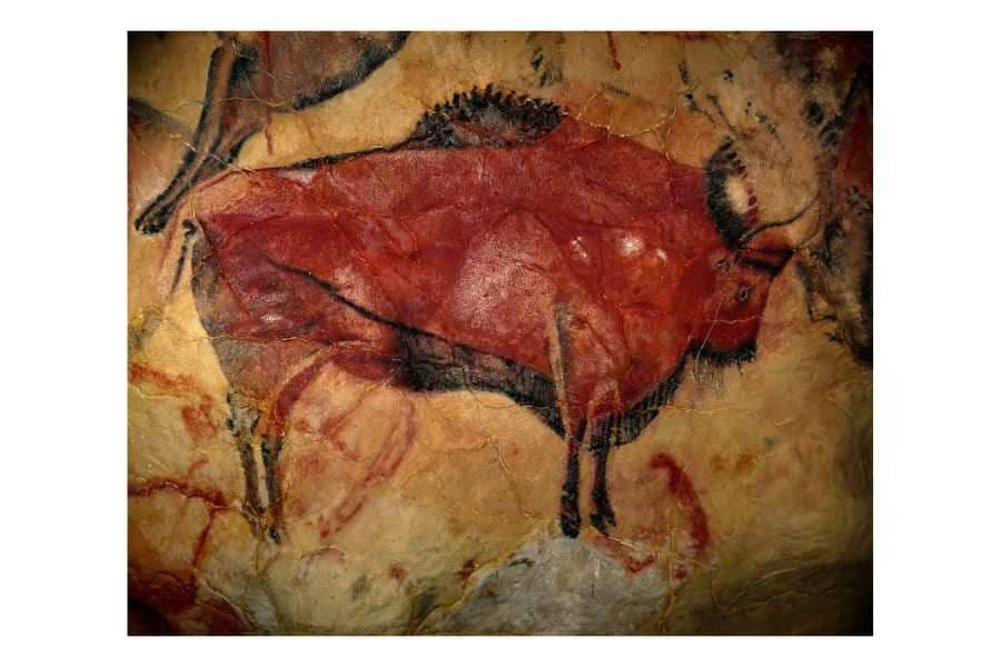 cave paintings of altamira
